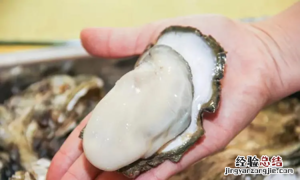 海蛎子和生蚝的区别图，生蚝跟海蛎子的区别有什么