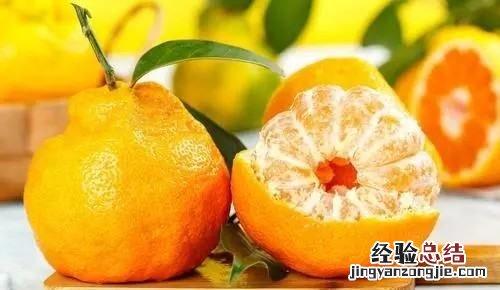 丑橘和耙耙柑有什么区别，春见耙耙柑与丑橘的区别