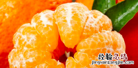 丑橘和耙耙柑有什么区别，春见耙耙柑与丑橘的区别