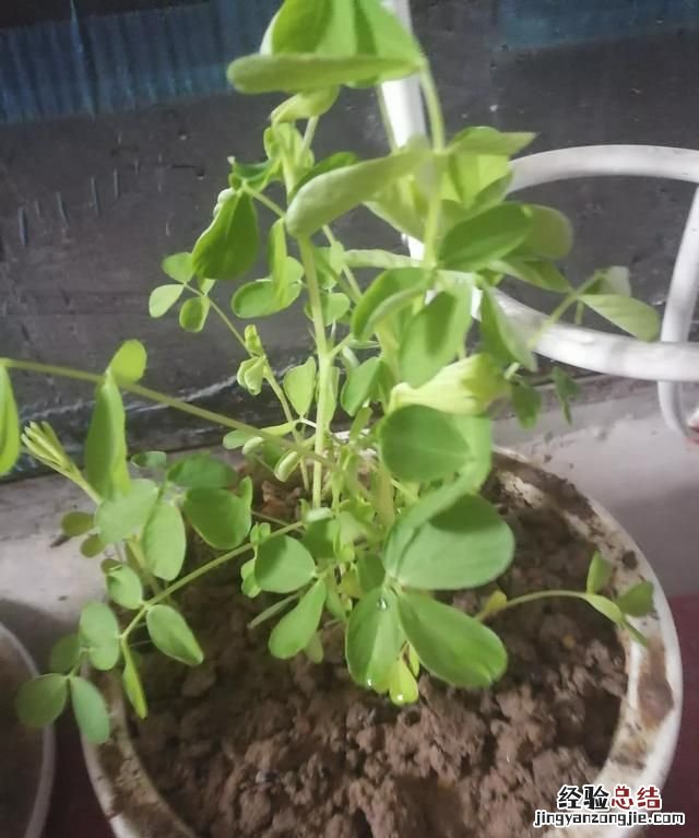 网络信息工程就业前景 网络工程专业好就业吗
