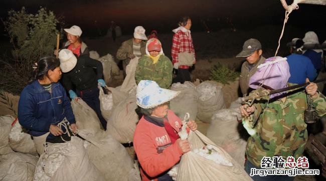 星际争霸多少个农民采矿
