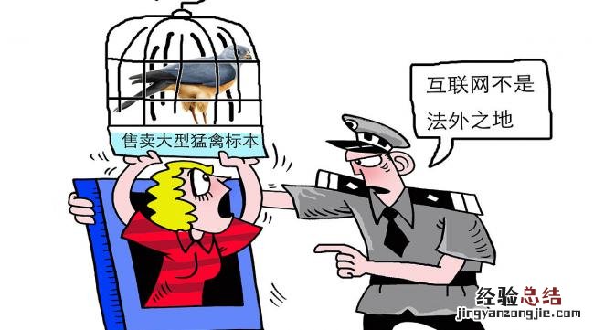 闲鱼卖家怎么防止被骗