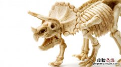 为什么恐龙的骨头会变成化石