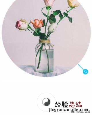 手机照片怎么截成圆形的