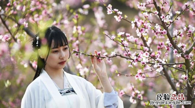 看桃花拍照穿什么颜色好看呢