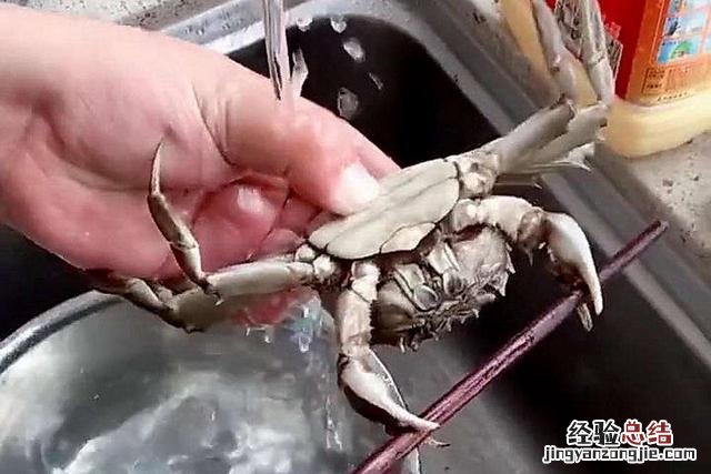 年夜饭10道清蒸菜好吃易做 蒸菜怎么做好吃?