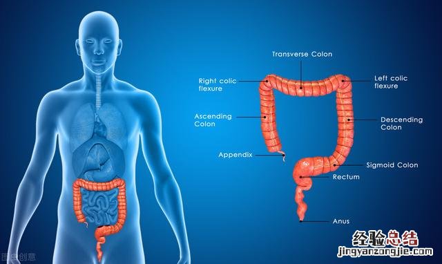 直肠癌的7个早期症状有什么表现 直肠癌是怎么引起的如何预防直肠癌