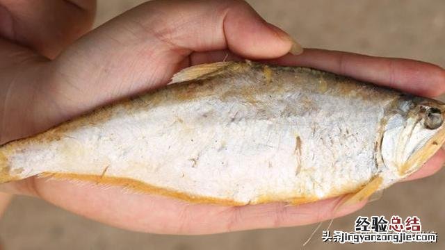 咸鱼好吃的最简单方法 晒干的咸鱼怎么做好吃