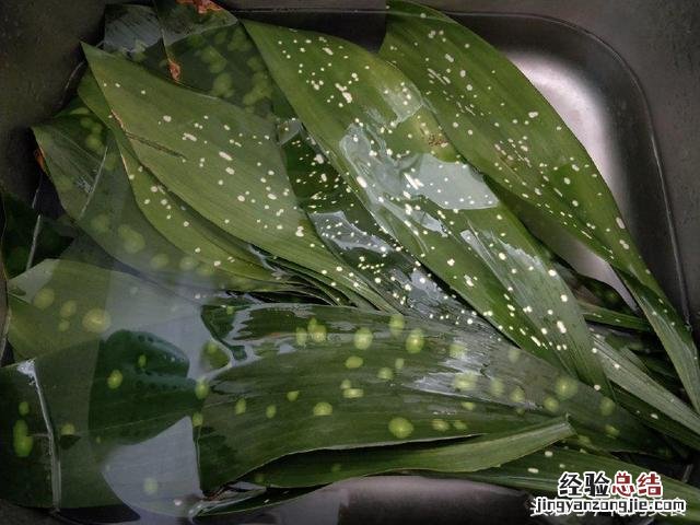 粽子怎么包又简单又快 怎样包粽子好吃又简单窍门