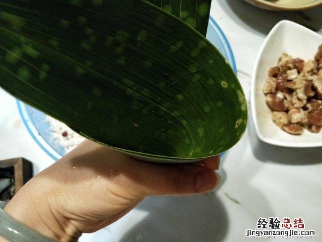 粽子怎么包又简单又快 怎样包粽子好吃又简单窍门