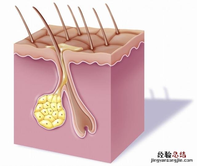 冰点无痛脱毛的原理和效果 冰点脱毛有效果吗