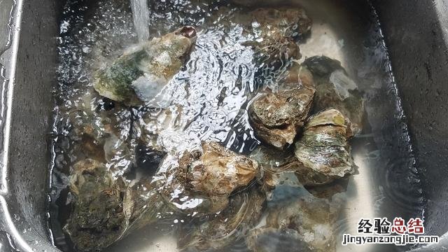 美味生蚝营养丰富做法简单 生蚝怎么做好吃又简单