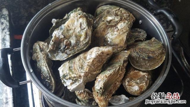 美味生蚝营养丰富做法简单 生蚝怎么做好吃又简单