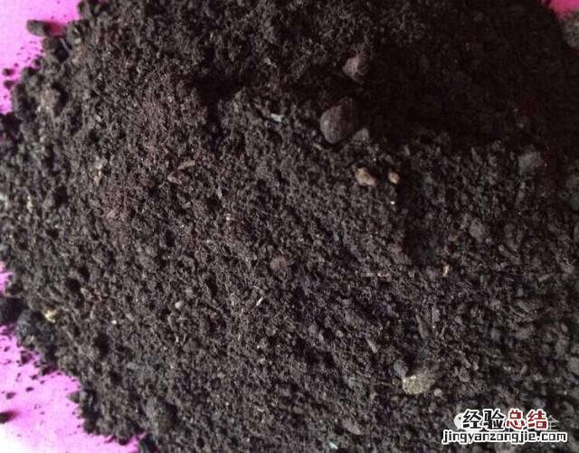富贵竹怎样养才会长得旺盛 富贵竹怎么养才不会黄叶