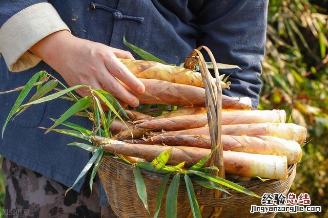 竹笋焯水吃不完放冰箱怎样保存 带壳竹笋怎么保存新鲜