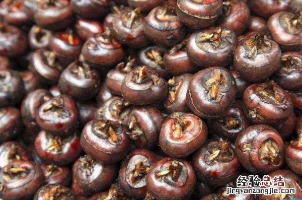 荸荠生吃好还是熟吃更健康 荸荠怎么吃才好吃