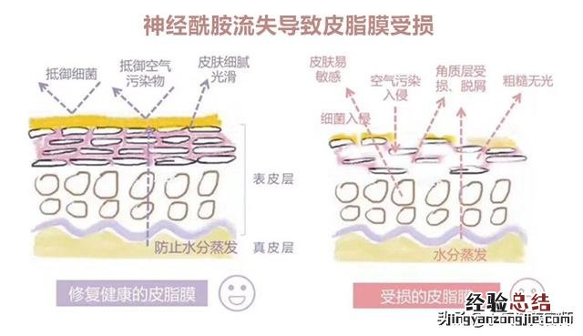 天一凉脸上就干燥脱皮怎么办 脸干燥脱皮紧绷刺痛怎么办