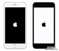 iphone手机死机无法重启怎么解决 苹果手机死机强制重启