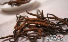 虫草怎么吃才是最佳功效 虫草怎么吃营养最好