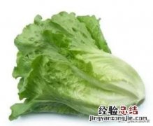 生菜怎么样才能做得好吃 生菜怎么做好吃又简单