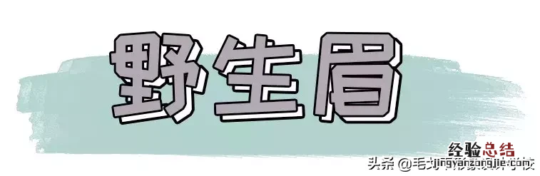 零基础画眉毛的技巧图解 眉毛怎么画好看自然