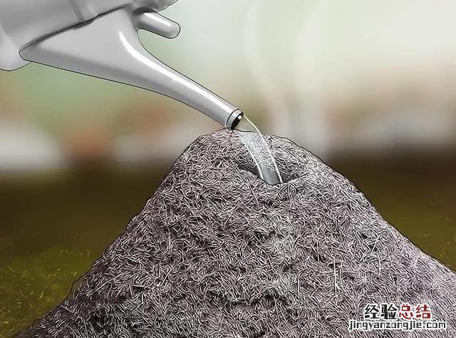 永久去除蚂蚁的妙招 家里有蚂蚁怎么办