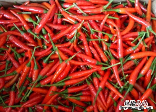 家庭自制豆瓣酱的正确方法 豆瓣酱怎么做好吃又香