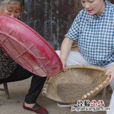 正宗荞麦粑的做法 苦荞麦怎么吃最好