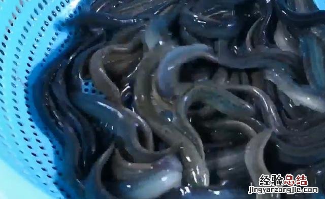 泥鳅这样做太好吃了 泥鳅怎么做好吃又简单