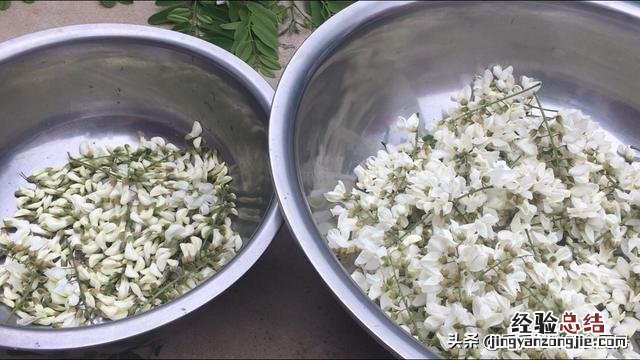 洋槐花的最佳吃法和做法 洋槐花怎么做好吃