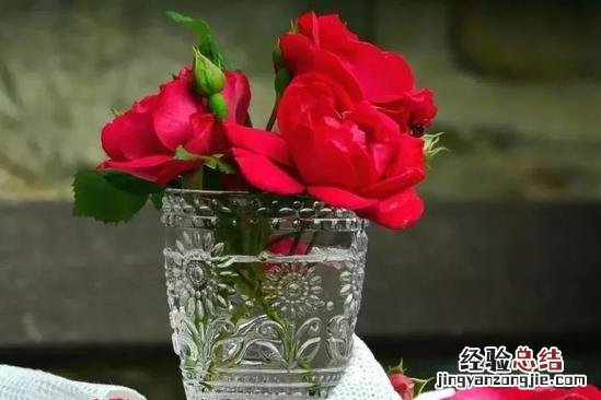 这些诀窍都告诉你 玫瑰花怎么保存时间长