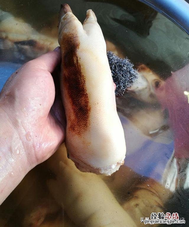 手把手教你做好吃的猪蹄 猪蹄怎么做好吃又简单