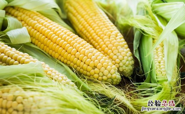 煮玉米需要多长时间怎么煮更好吃 煮玉米怎么煮好吃又简单