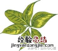 中暑急救的方法和步骤 中暑头疼怎么办快速缓解
