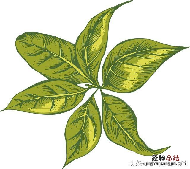 中暑急救的方法和步骤 中暑头疼怎么办快速缓解
