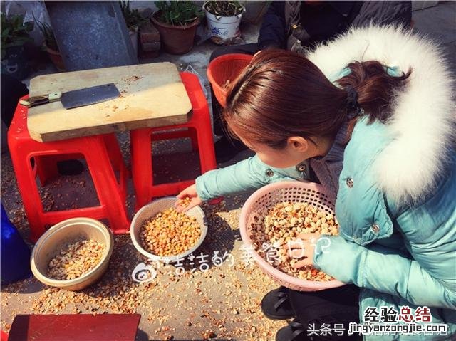 银杏果怎么吃才能去掉苦 生的银杏果怎么吃