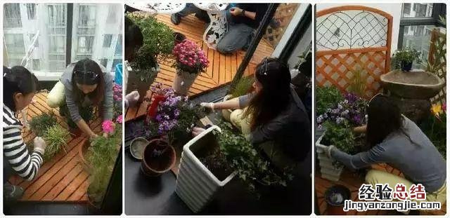 把阳台改造成一个梦幻的世界 怎样打造一个阳台小花园