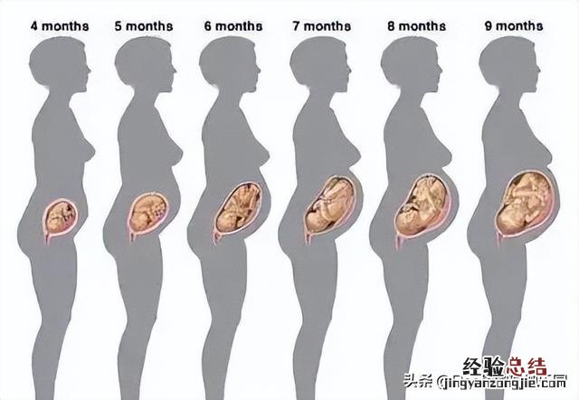 柳岩瑜伽动作大全 怎么瘦腰两侧的赘肉