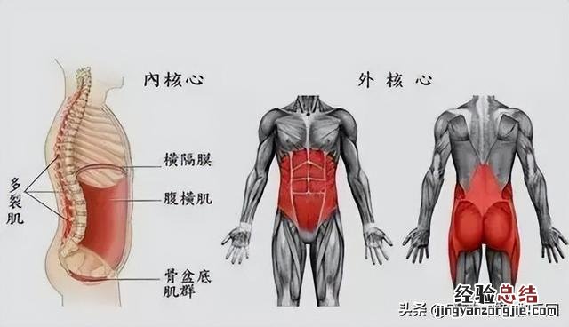 柳岩瑜伽动作大全 怎么瘦腰两侧的赘肉