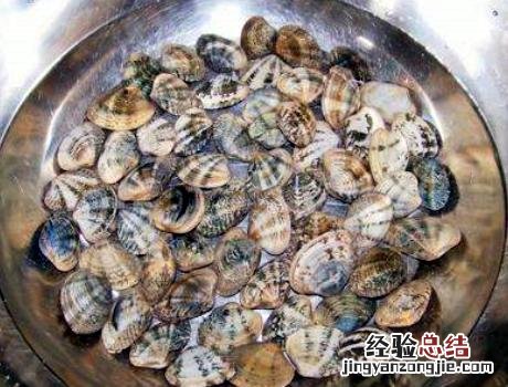用盐水洗花蛤的正确方法 花蛤怎么洗才干净又好吃