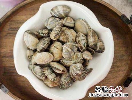 用盐水洗花蛤的正确方法 花蛤怎么洗才干净又好吃