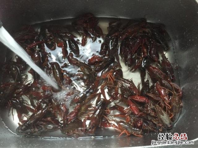 去小龙虾的腥味的方法 龙虾怎么洗简单又干净