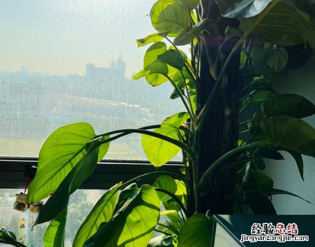 把握住这5个技巧 包茎太小怎么办