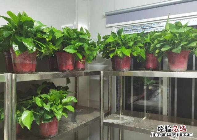 把握住这5个技巧 包茎太小怎么办