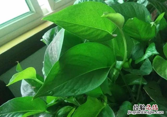 把握住这5个技巧 包茎太小怎么办