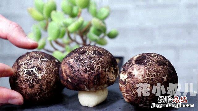 红糖馒头一次成型做法 红糖馒头怎么做法好吃