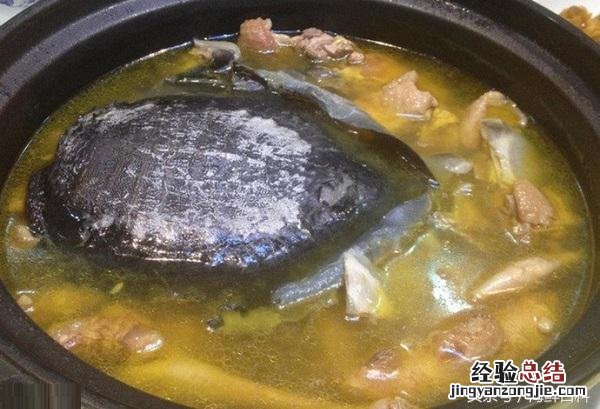 甲鱼的正确杀法煲汤 甲鱼怎么炖最有营养