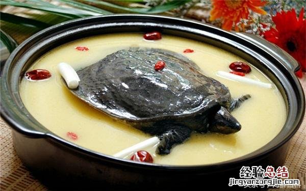 甲鱼的正确杀法煲汤 甲鱼怎么炖最有营养