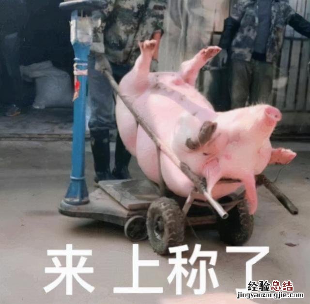 破解“流量密码”的金融新规 怎么破解空间密码设置