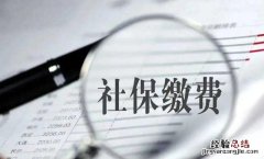 个人缴费和公司缴费有何不同 社保怎么交费和网上缴费